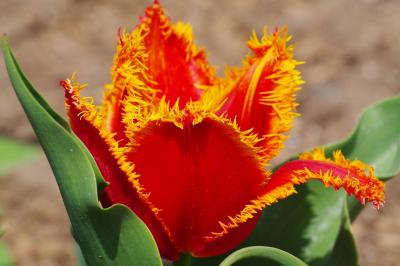 Прикрепленное изображение: LUKA6391.jpg